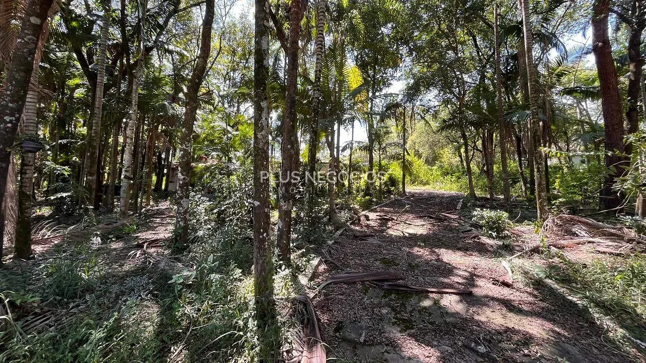 Terreno, 3000 m² - Foto 1