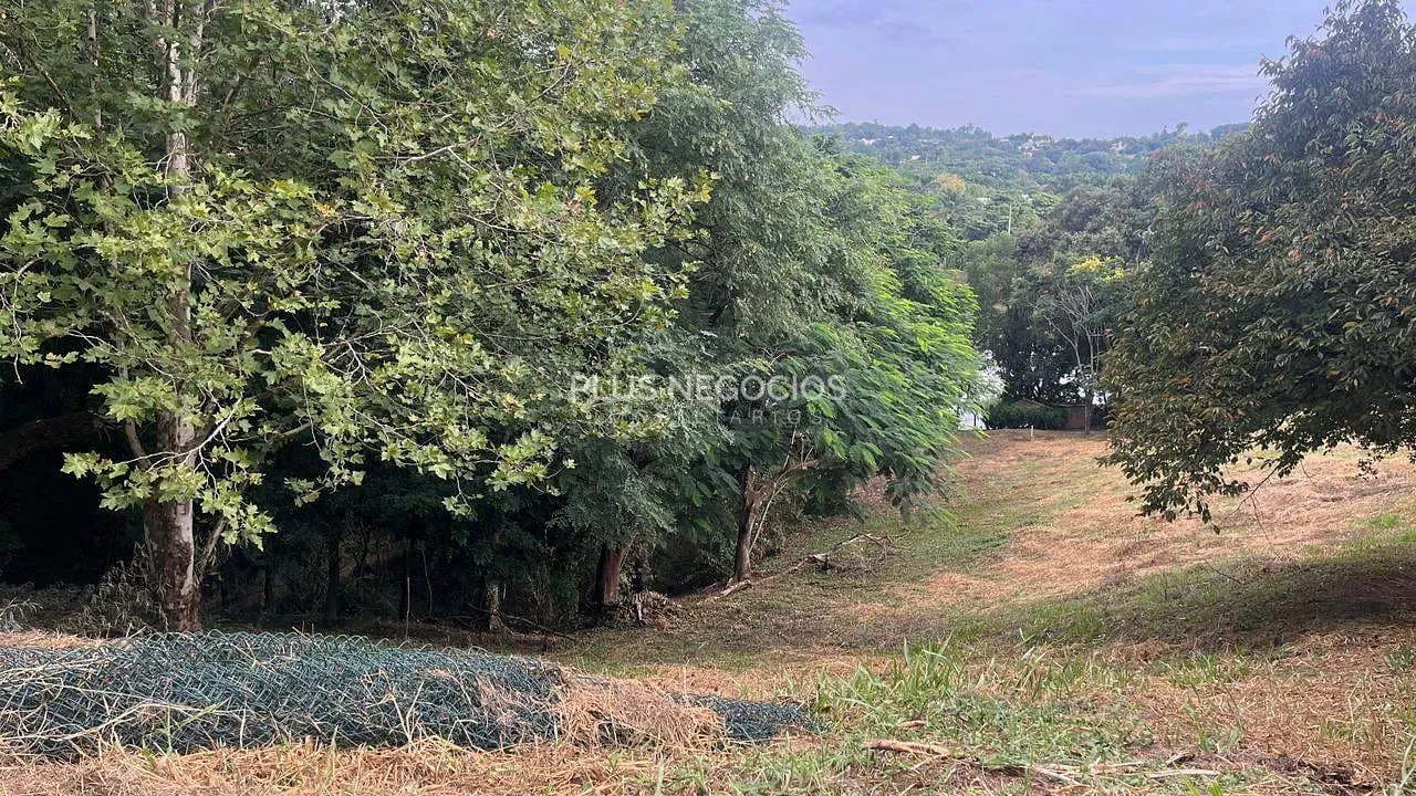 Terreno, 3200 m² - Foto 4