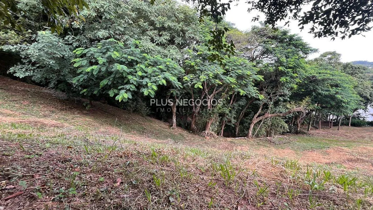 Terreno, 3200 m² - Foto 5