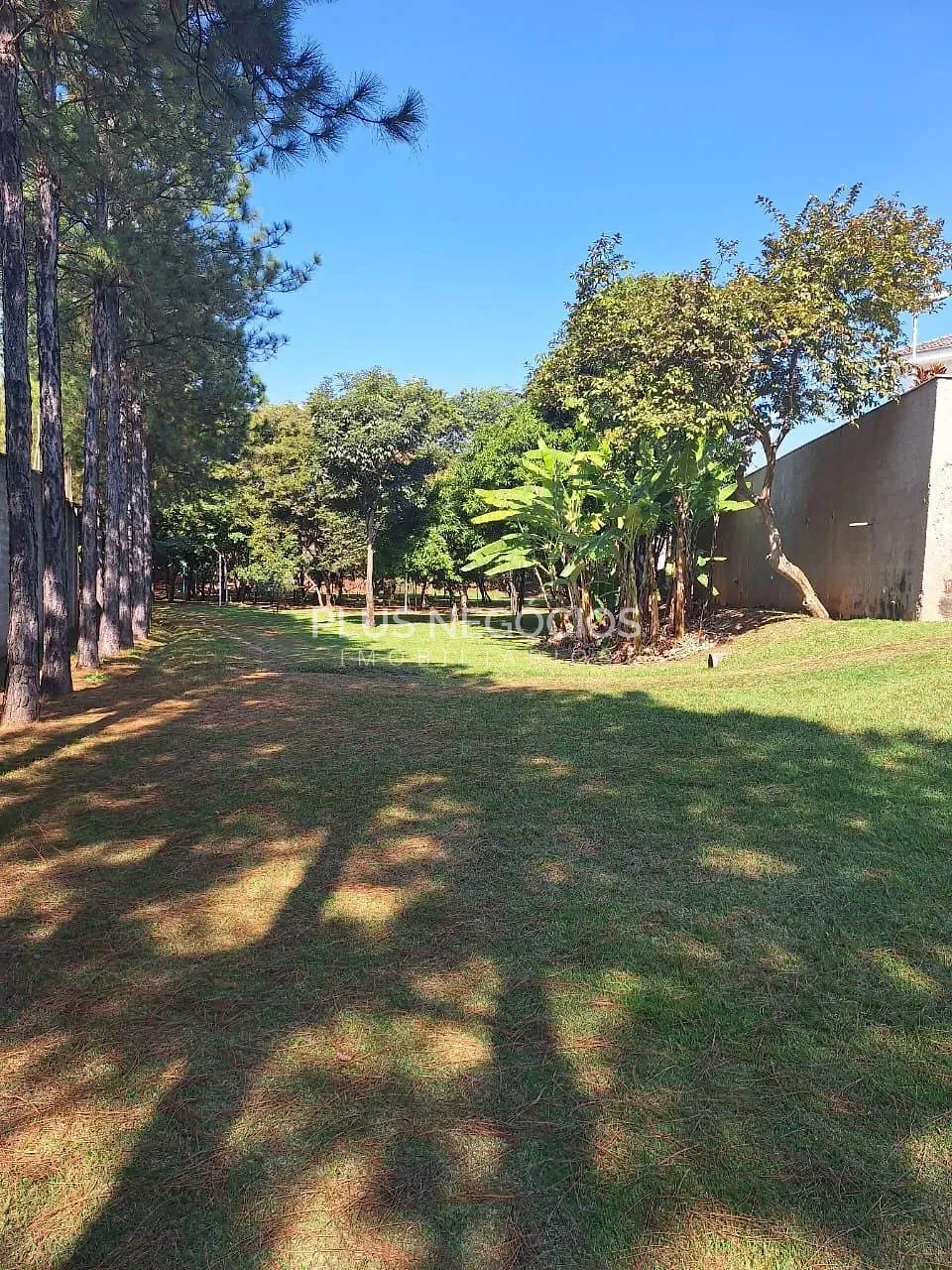 Terreno, 936 m² - Foto 4