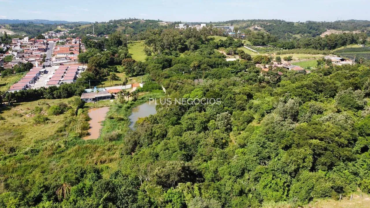 Terreno, 3 hectares - Foto 4