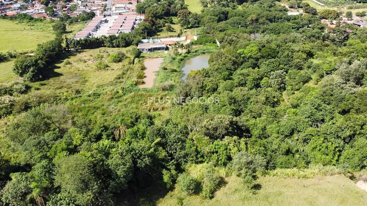 Terreno, 3 hectares - Foto 7