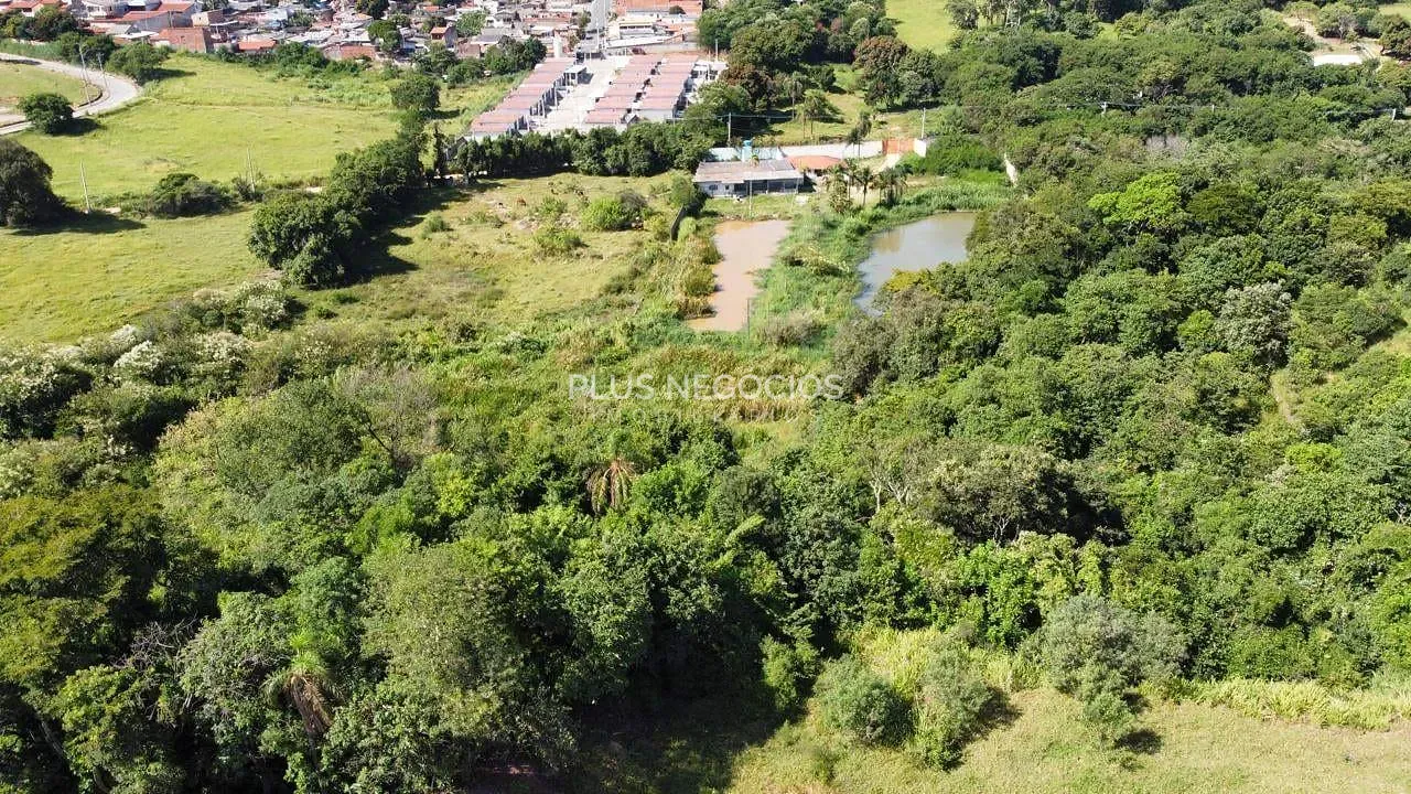 Terreno, 3 hectares - Foto 8