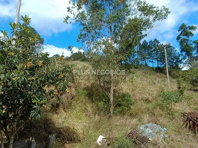 Terreno com 30000m², à venda, no bairro Altos da Liberdade em Piedade