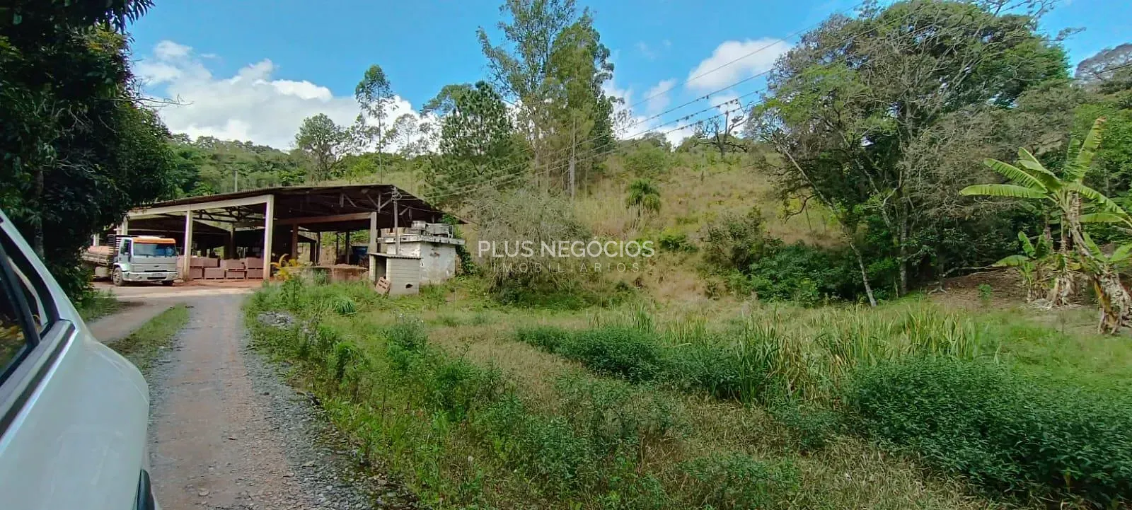 Terreno, 3 hectares - Foto 6