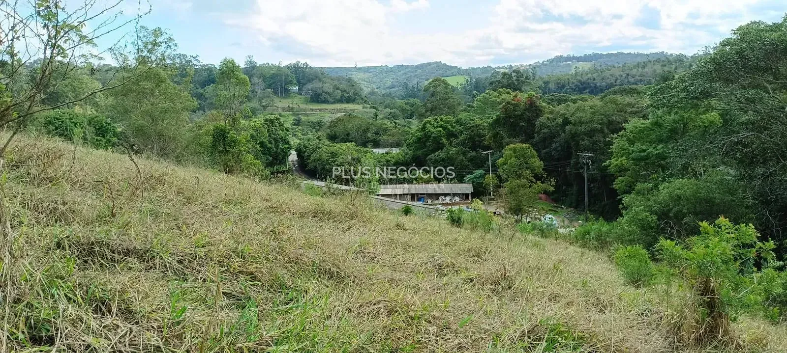 Terreno, 3 hectares - Foto 8