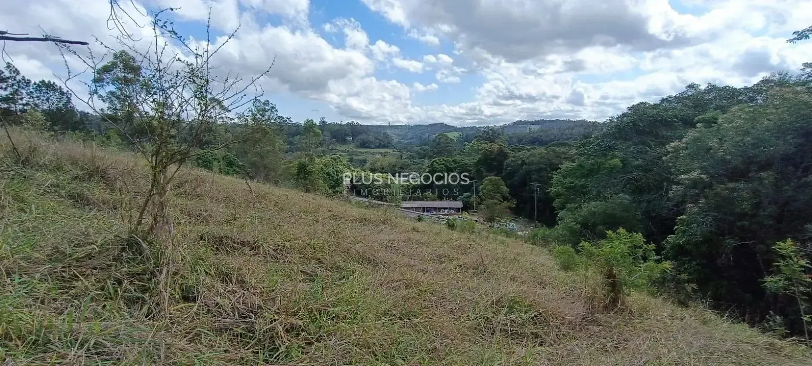 Terreno, 3 hectares - Foto 9