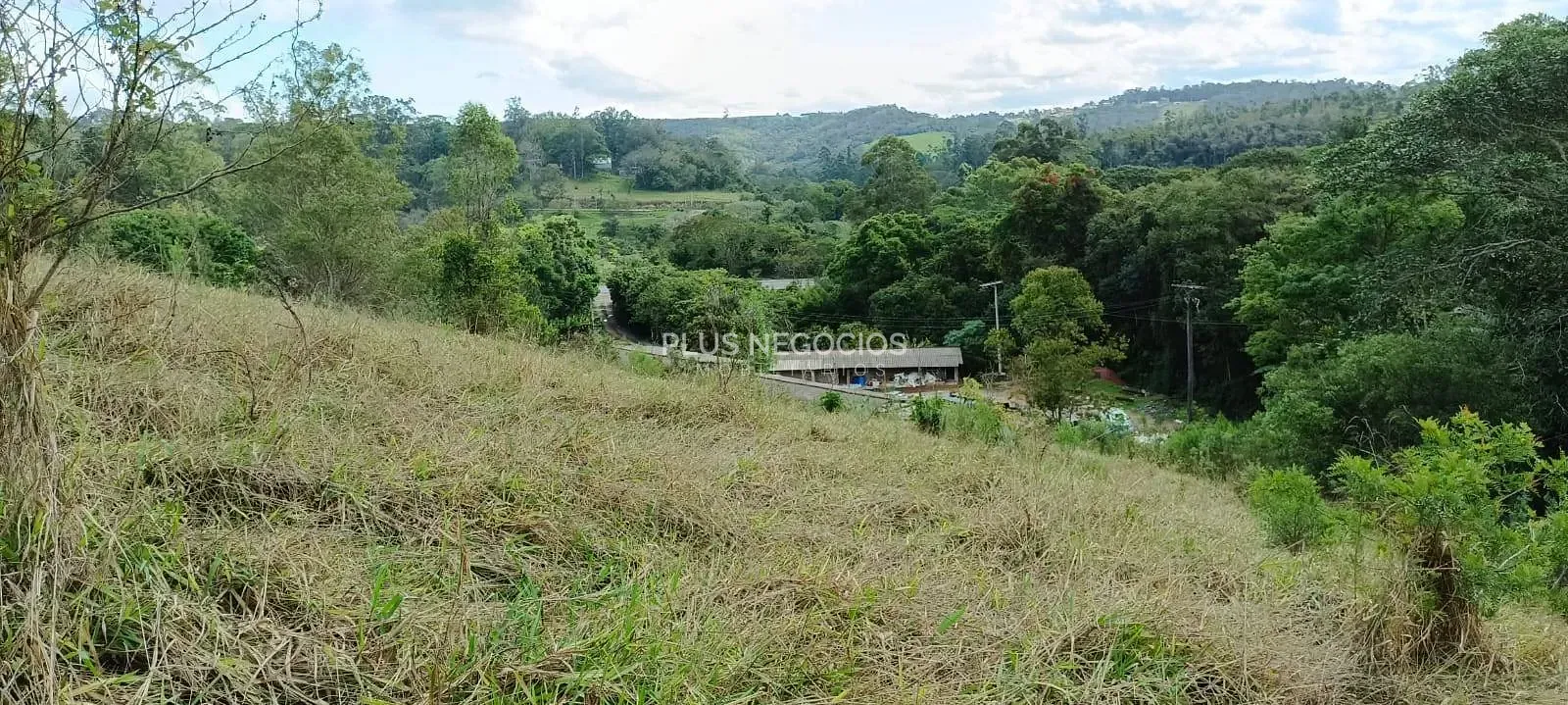 Terreno, 3 hectares - Foto 10