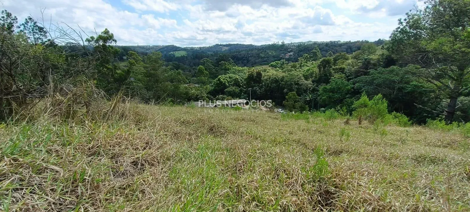 Terreno, 3 hectares - Foto 11