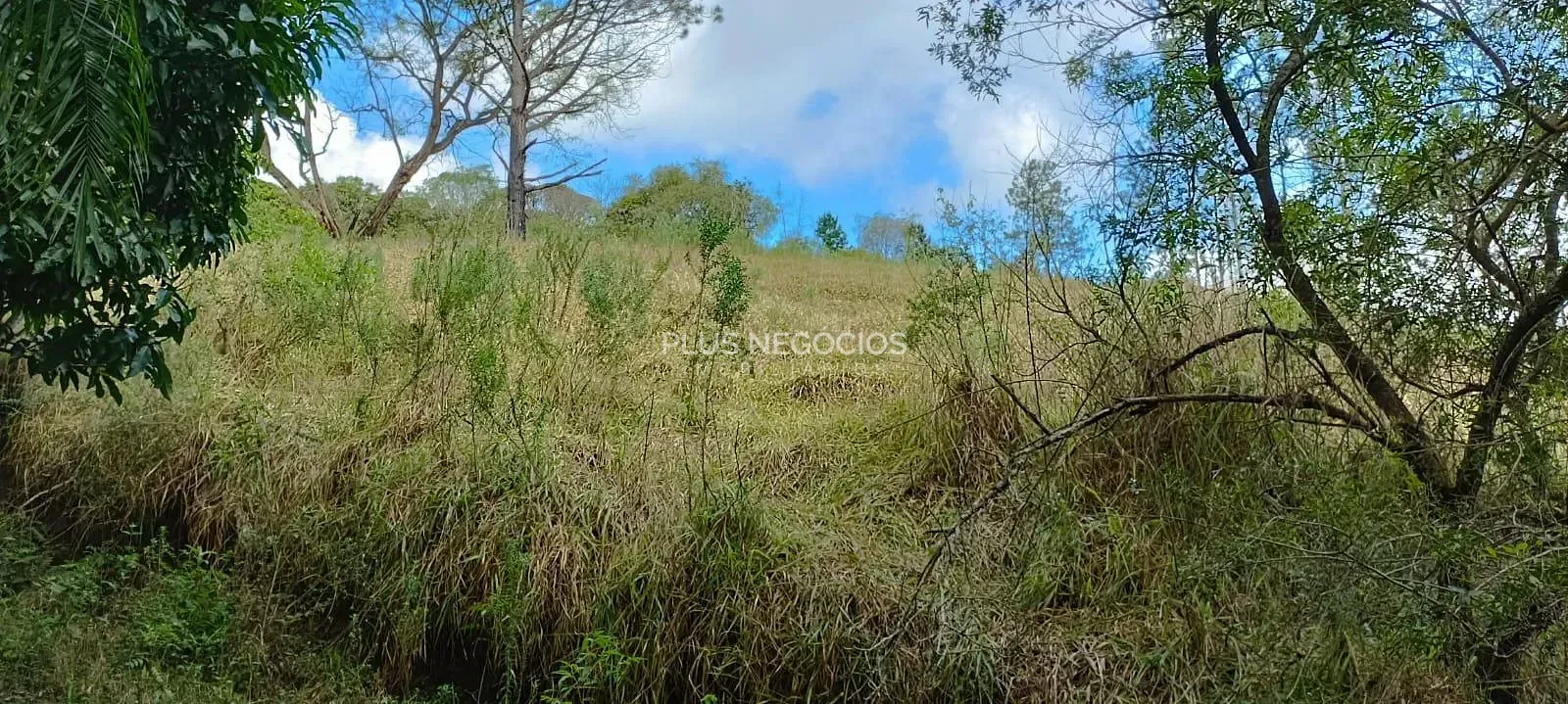 Terreno, 3 hectares - Foto 12