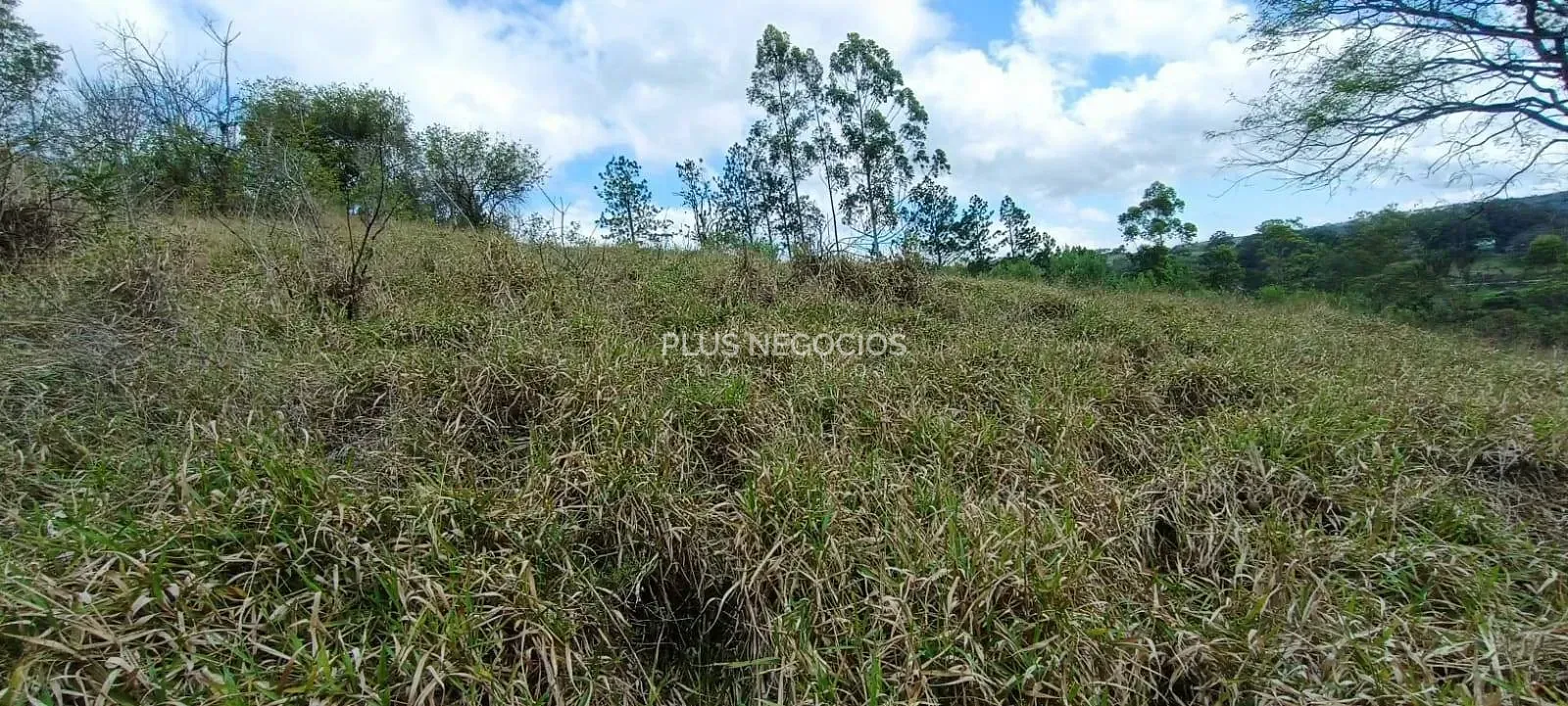 Terreno, 3 hectares - Foto 13
