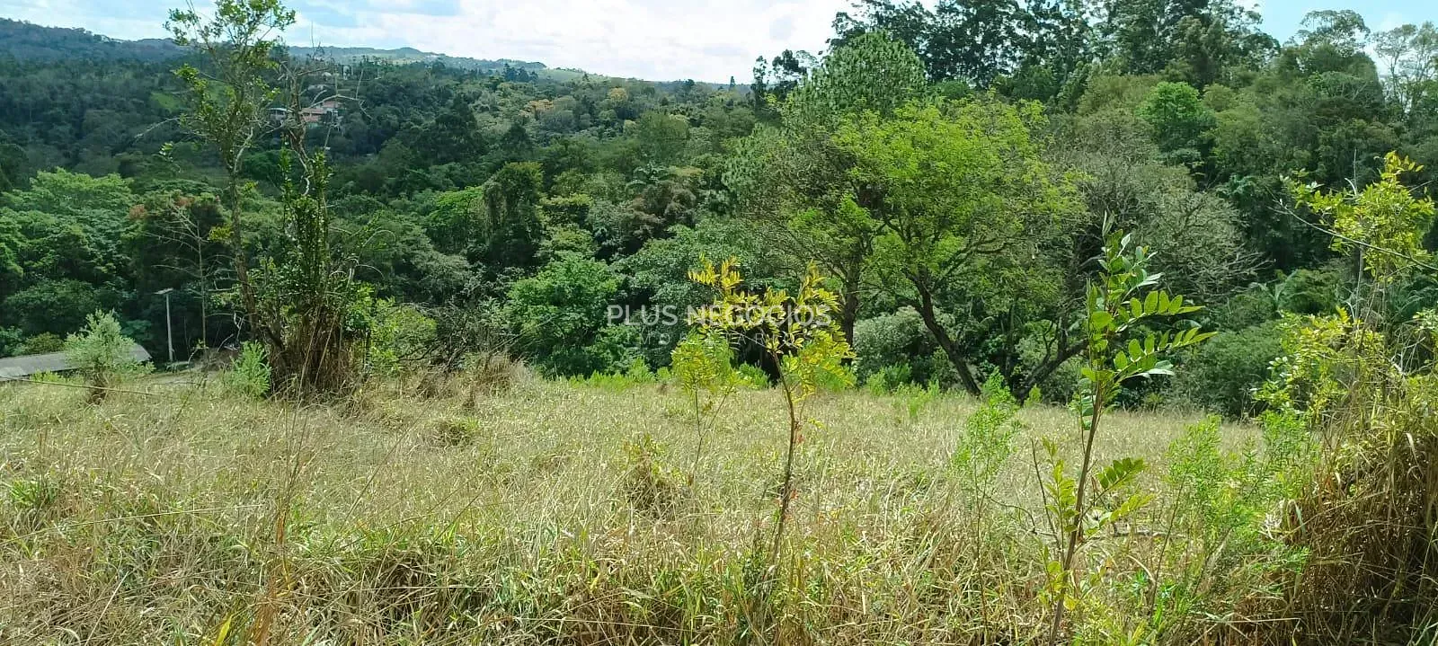 Terreno, 3 hectares - Foto 14