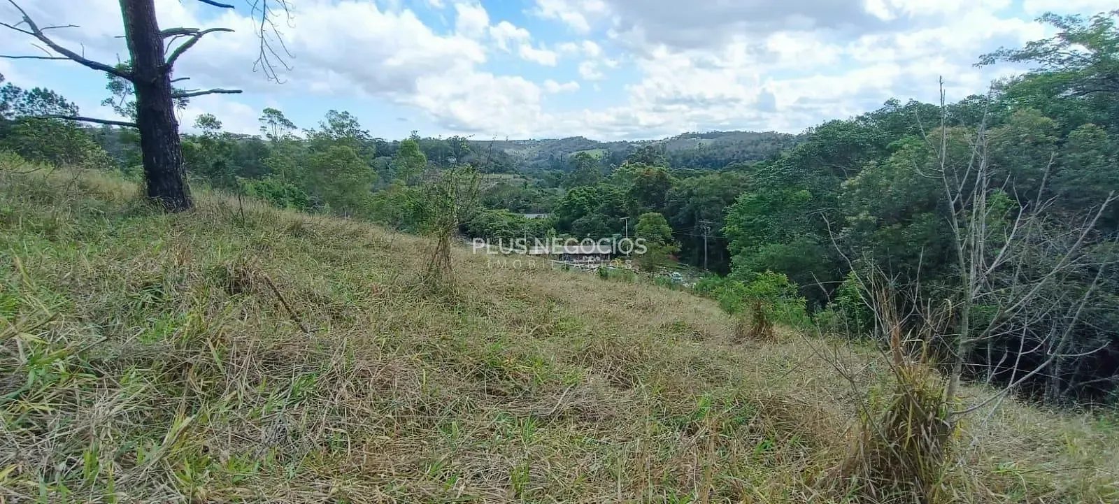 Terreno, 3 hectares - Foto 15