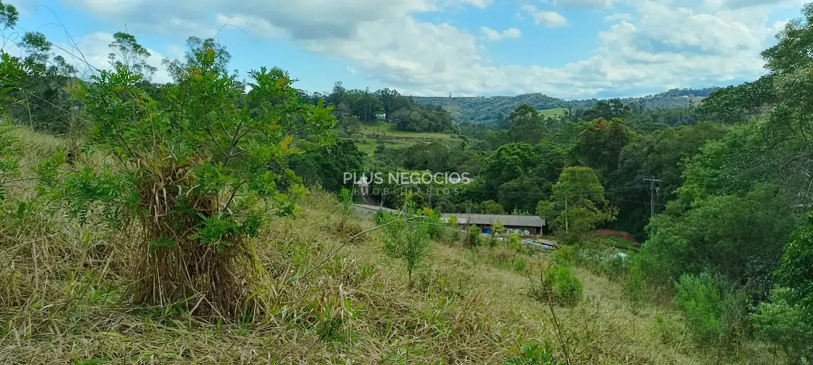 Terreno, 3 hectares - Foto 16