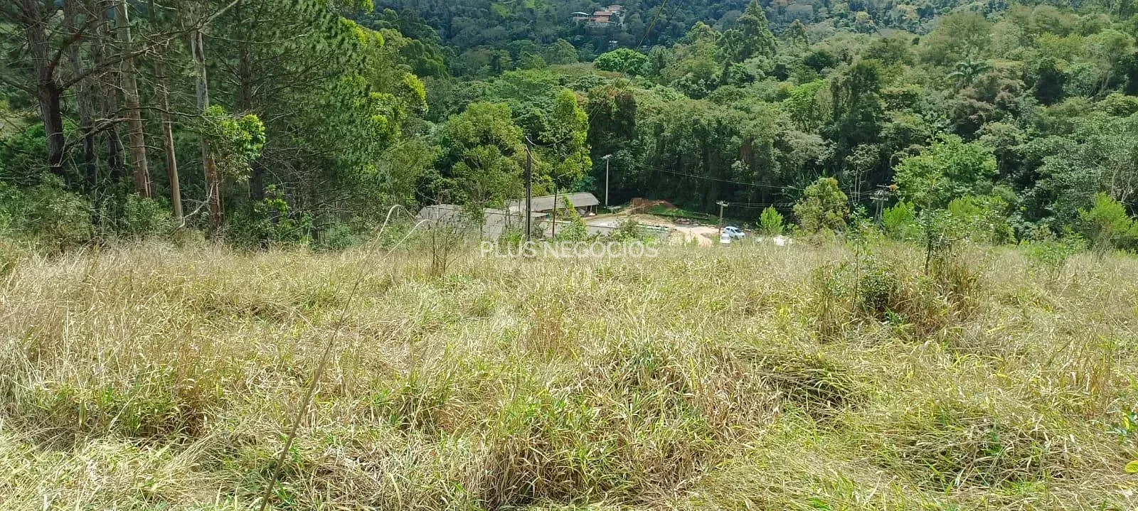 Terreno, 3 hectares - Foto 17
