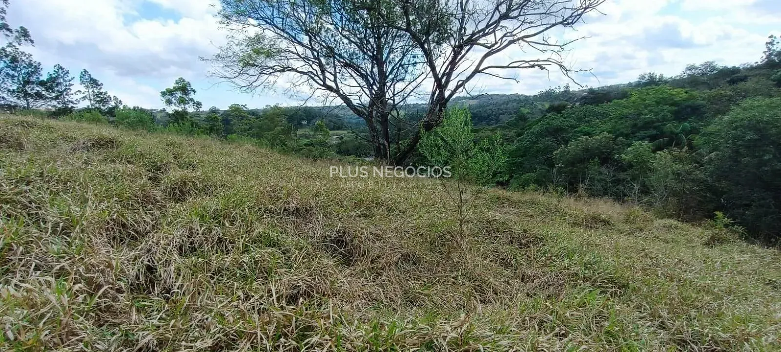 Terreno, 3 hectares - Foto 19