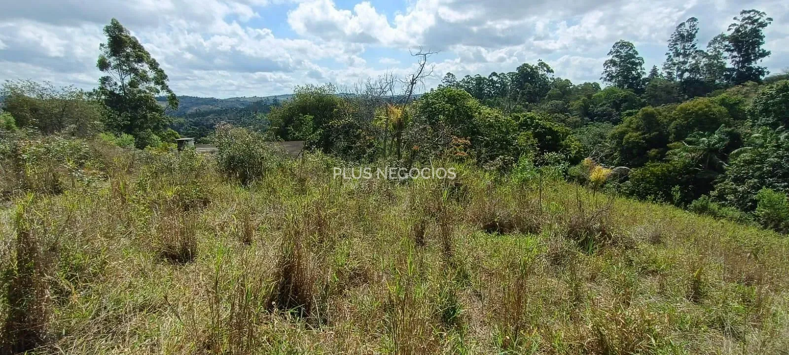 Terreno, 3 hectares - Foto 20