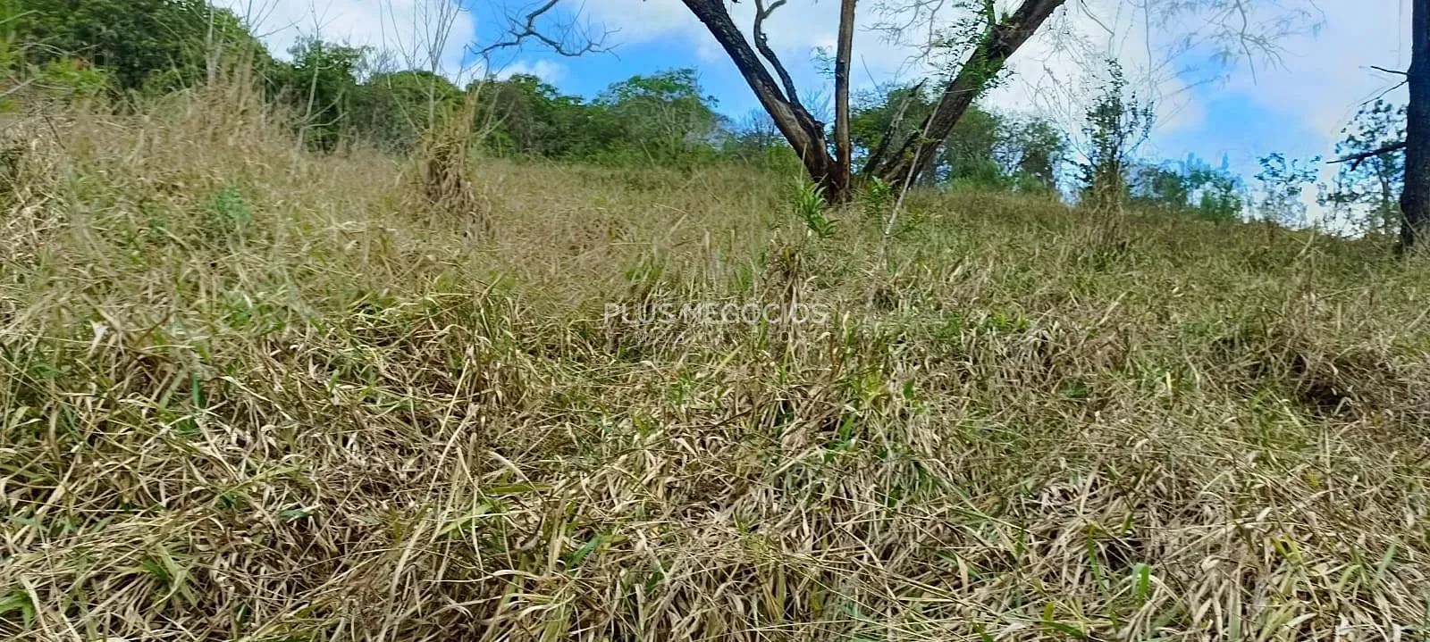 Terreno, 3 hectares - Foto 21