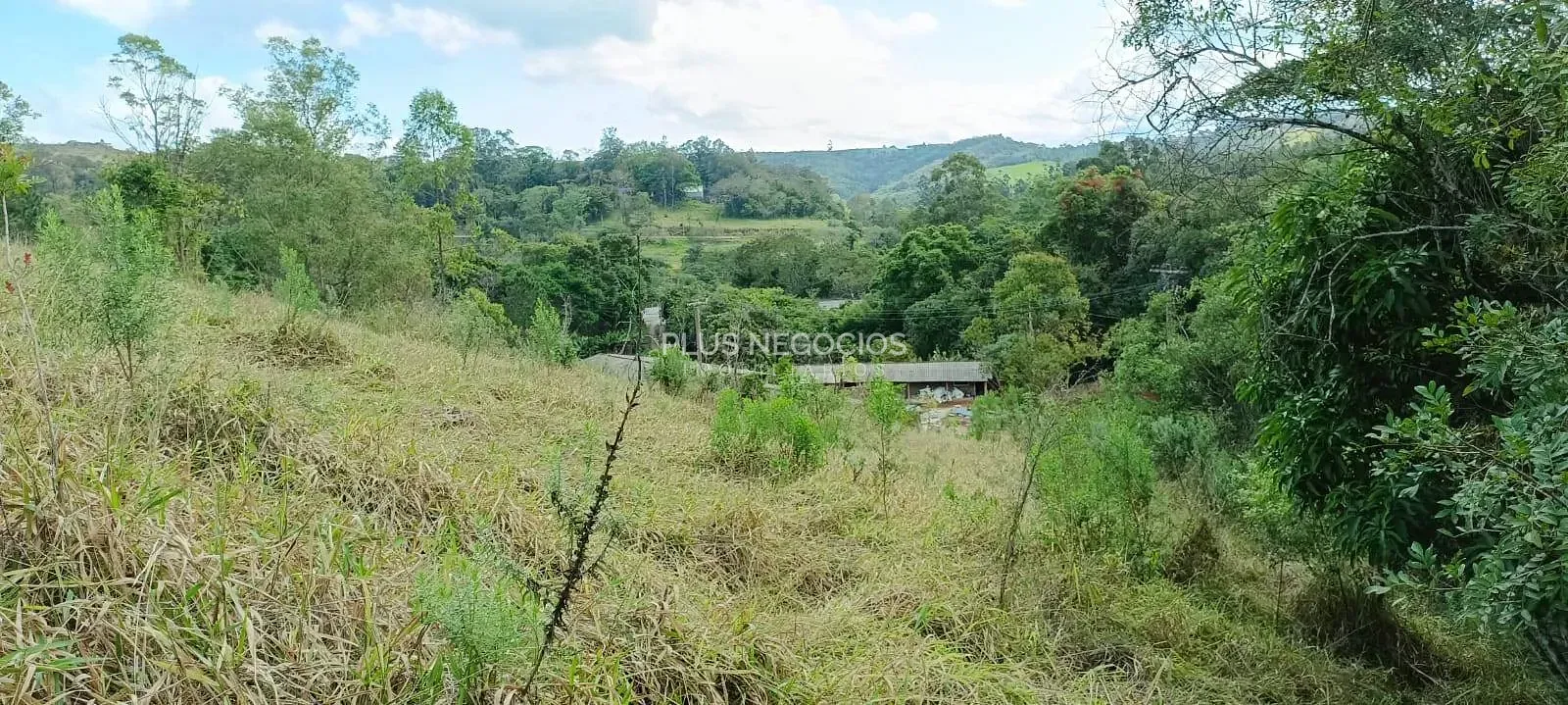 Terreno, 3 hectares - Foto 22