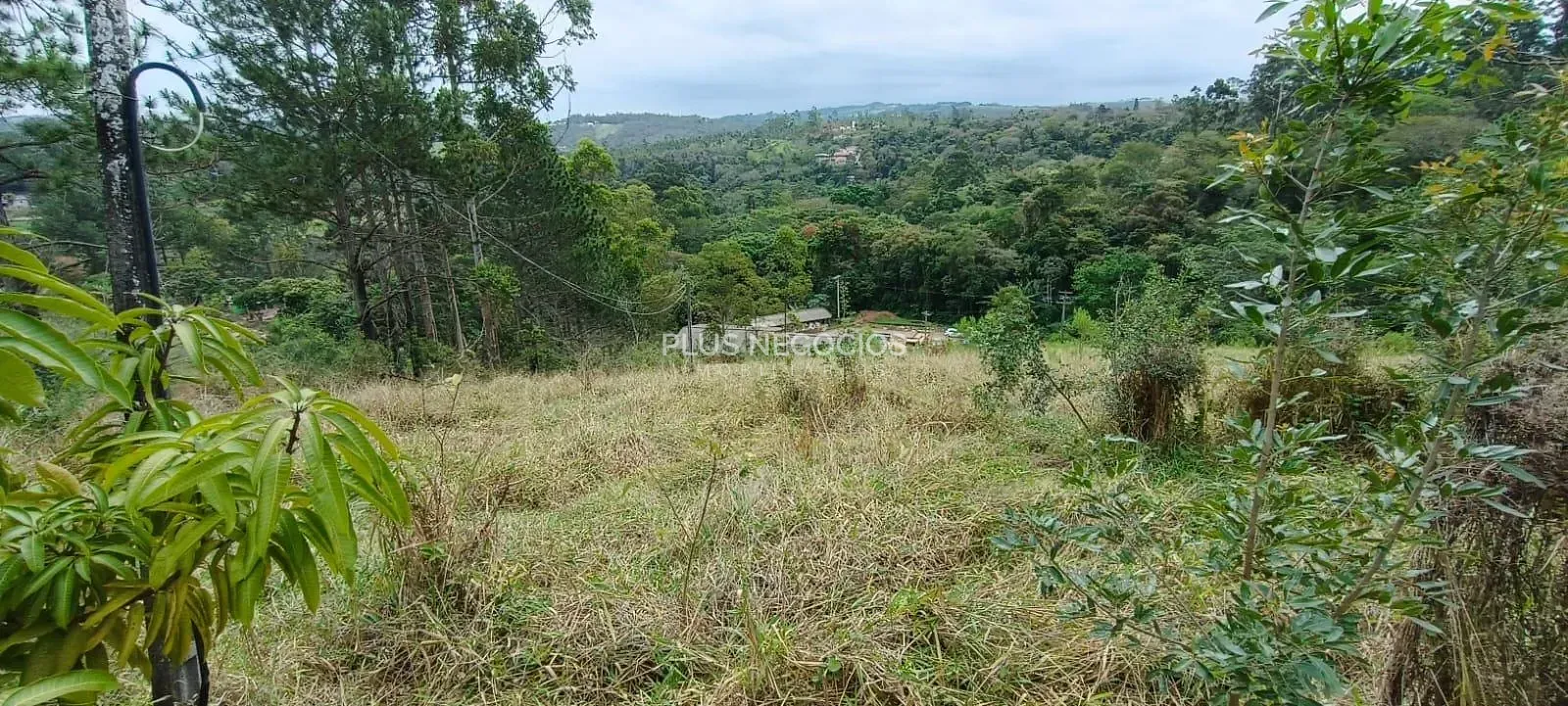 Terreno, 3 hectares - Foto 23