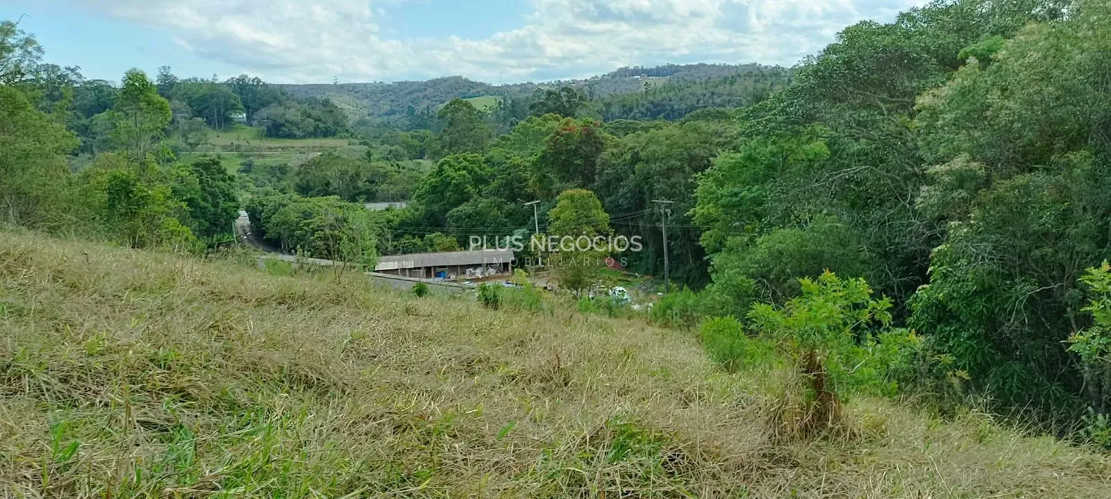 Terreno, 3 hectares - Foto 24