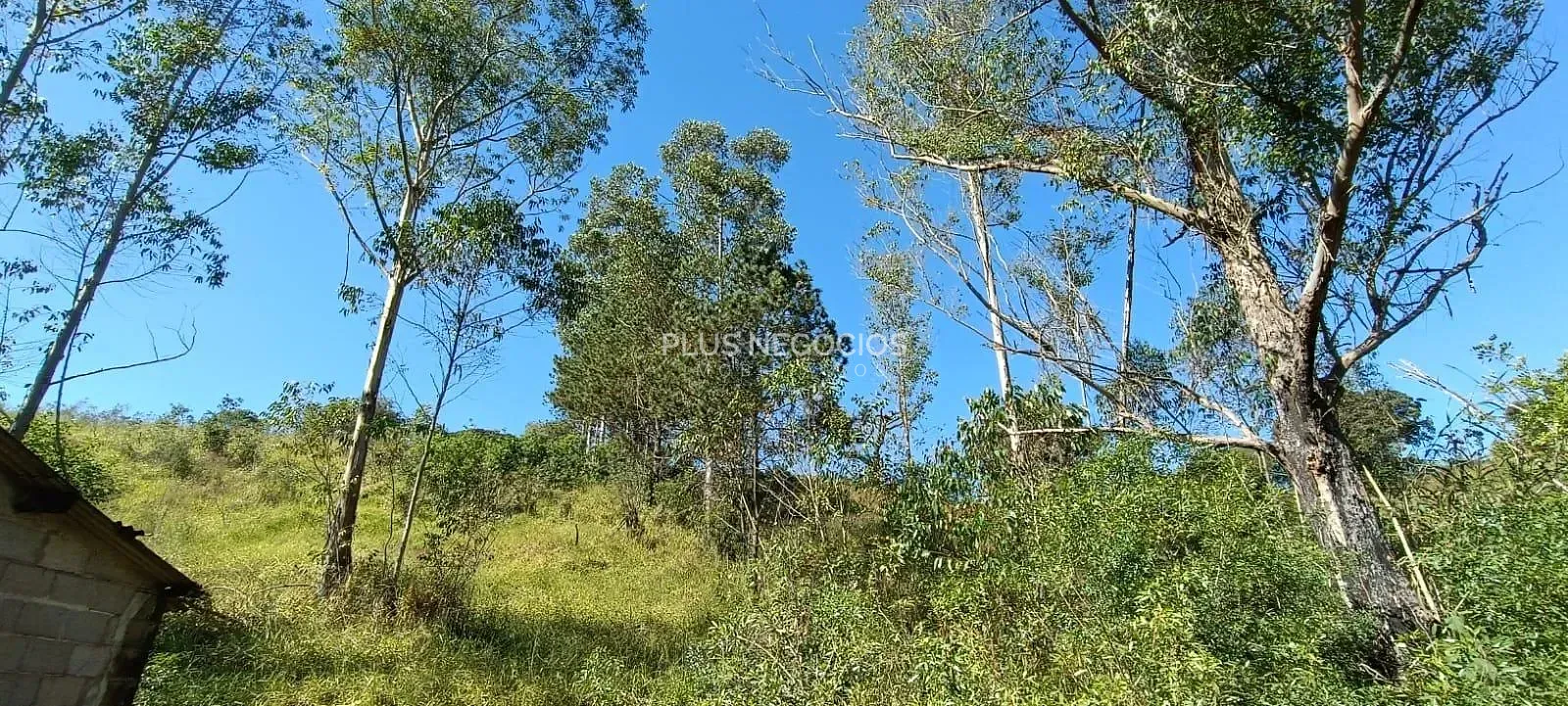 Terreno, 3 hectares - Foto 27