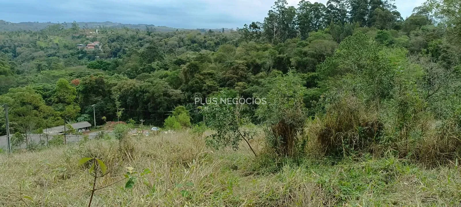 Terreno, 3 hectares - Foto 28