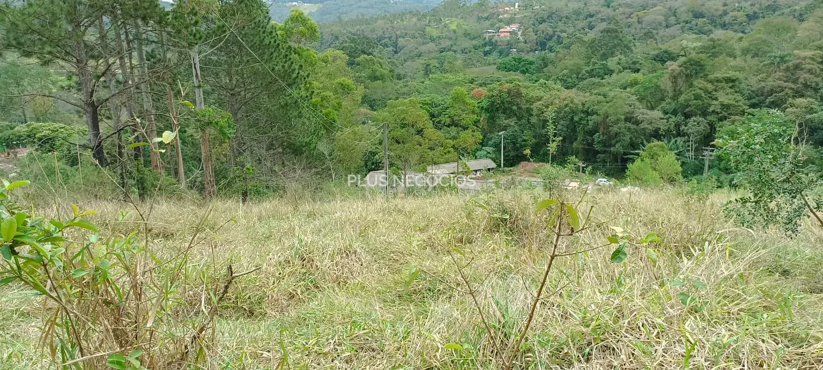 Terreno, 3 hectares - Foto 30
