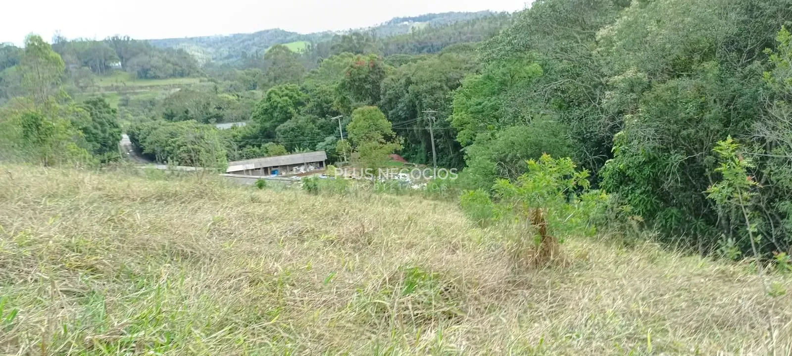 Terreno, 3 hectares - Foto 31