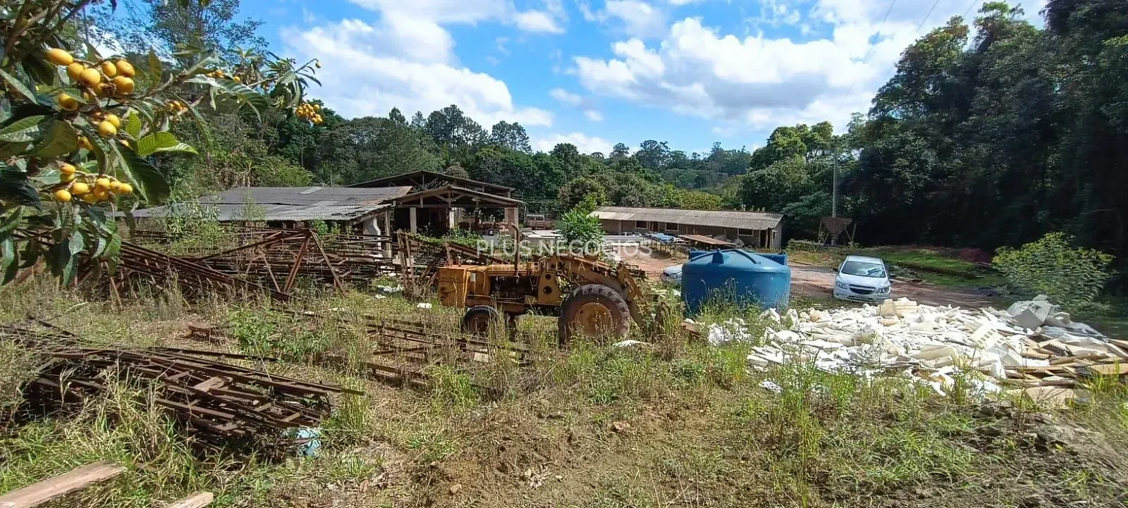 Terreno, 3 hectares - Foto 32