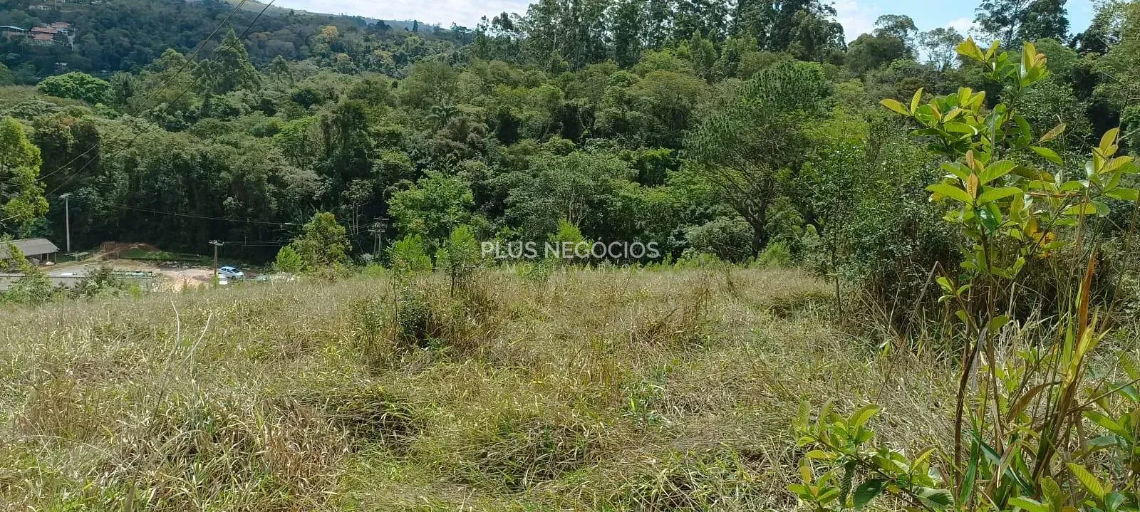 Terreno, 3 hectares - Foto 34