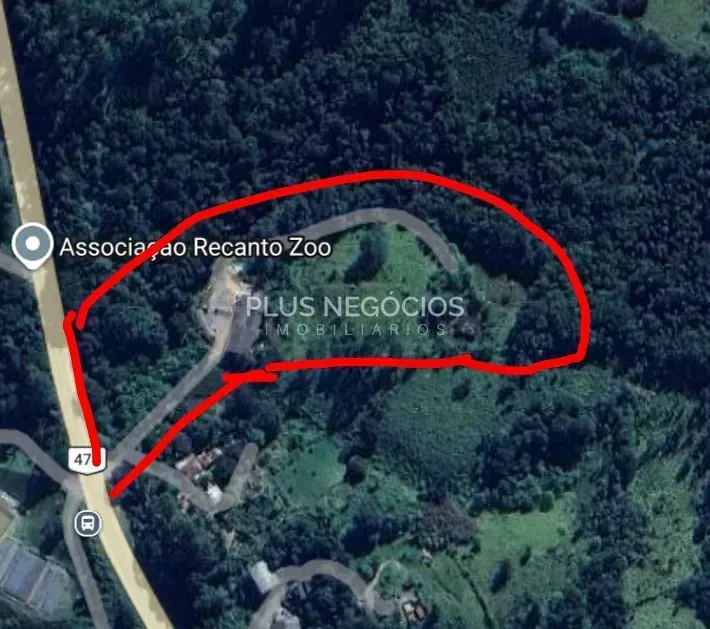 Terreno, 3 hectares - Foto 1