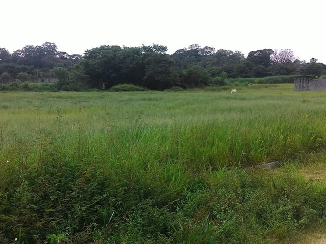 Terreno com 296m², à venda, no bairro Parque São Domingos em Pindamonhangaba