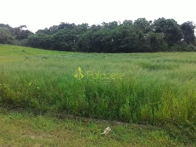 Terreno com 296m², à venda, no bairro Parque São Domingos em Pindamonhangaba