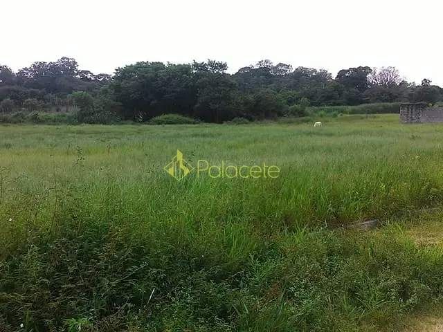 Terreno com 296m², à venda, no bairro Parque São Domingos em Pindamonhangaba