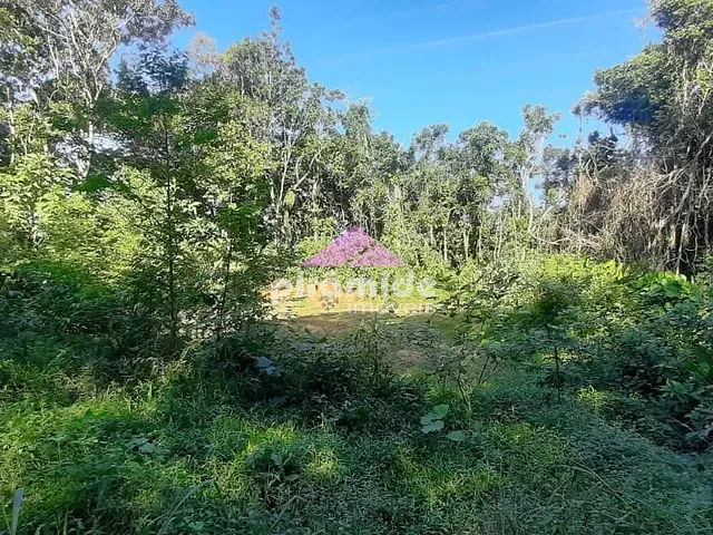 Terreno com 360m², à venda, no bairro Massaguaçu em Caraguatatuba