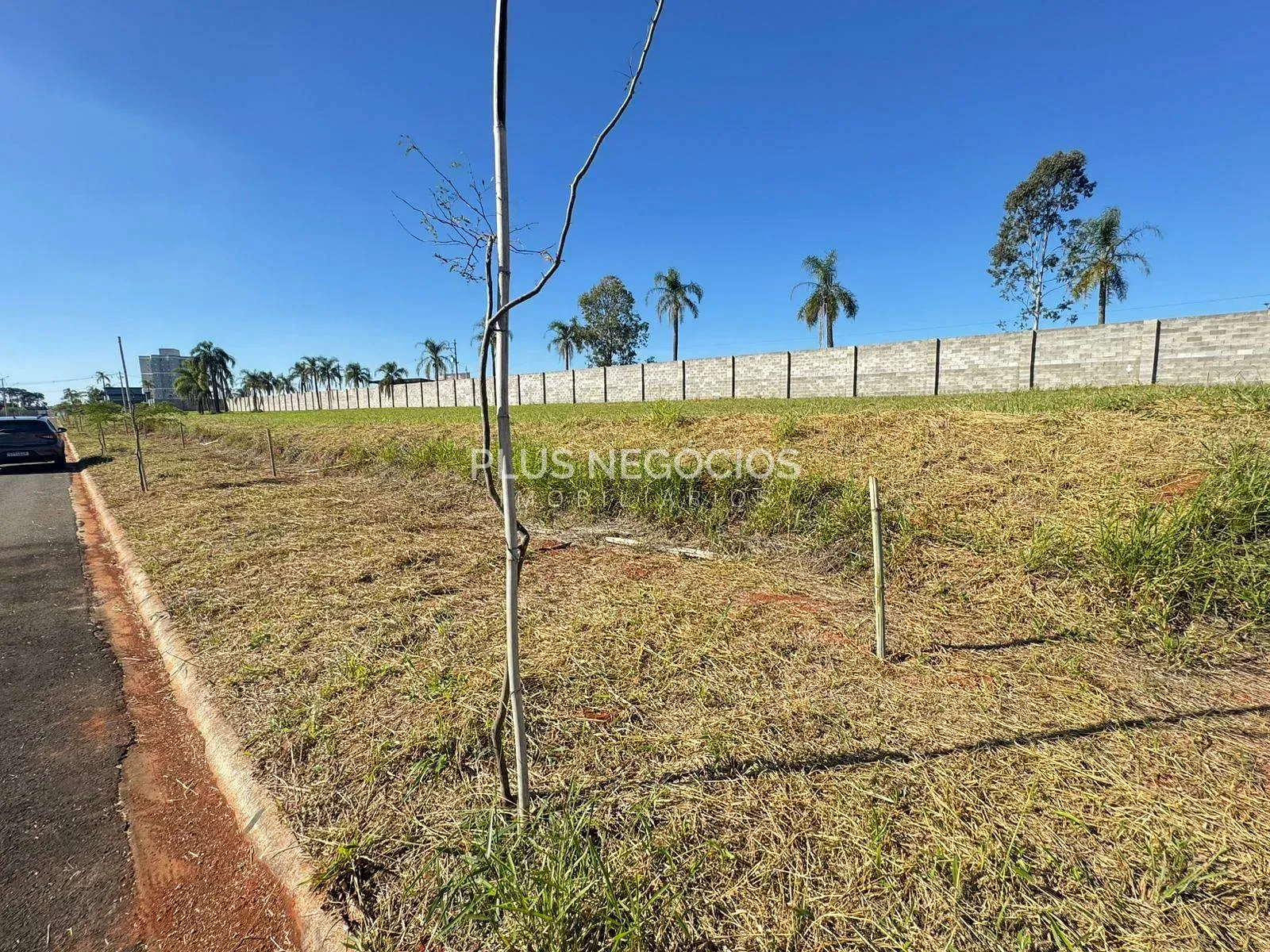 Terreno, 300 m² - Foto 7