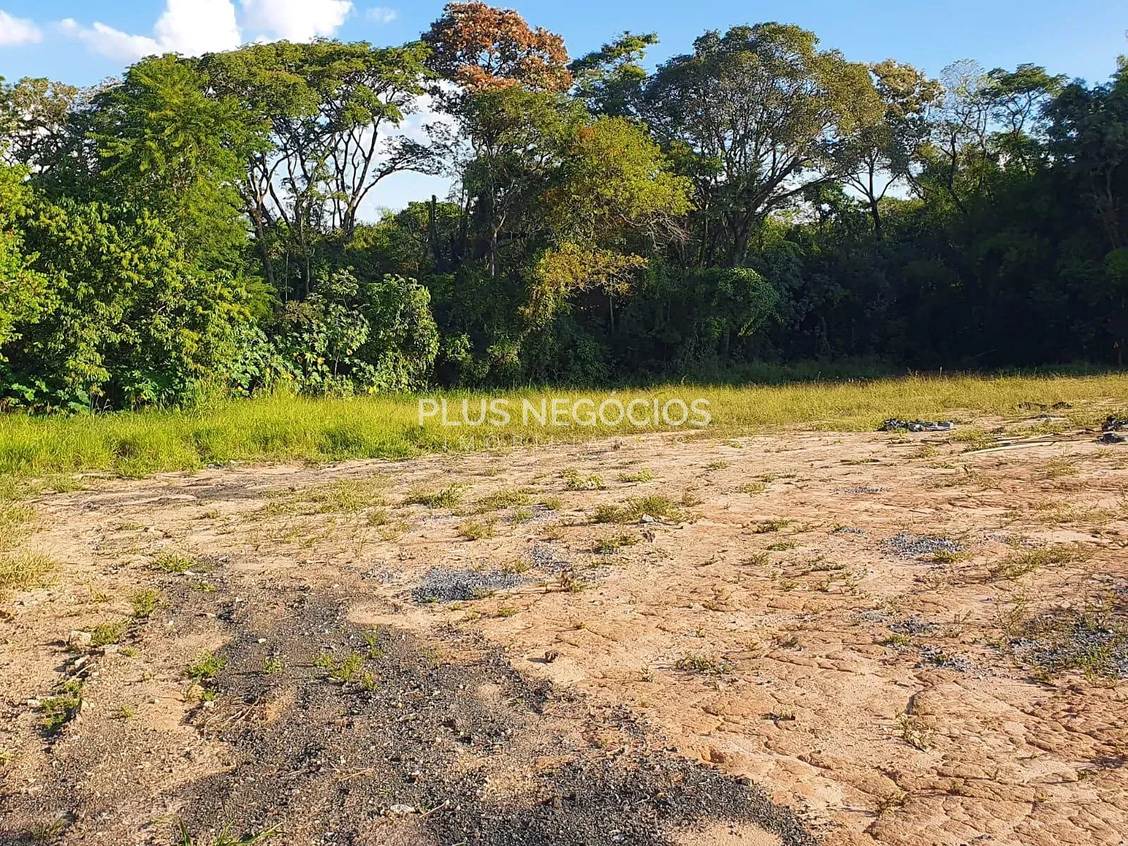 Terreno, 7800 m² - Foto 14