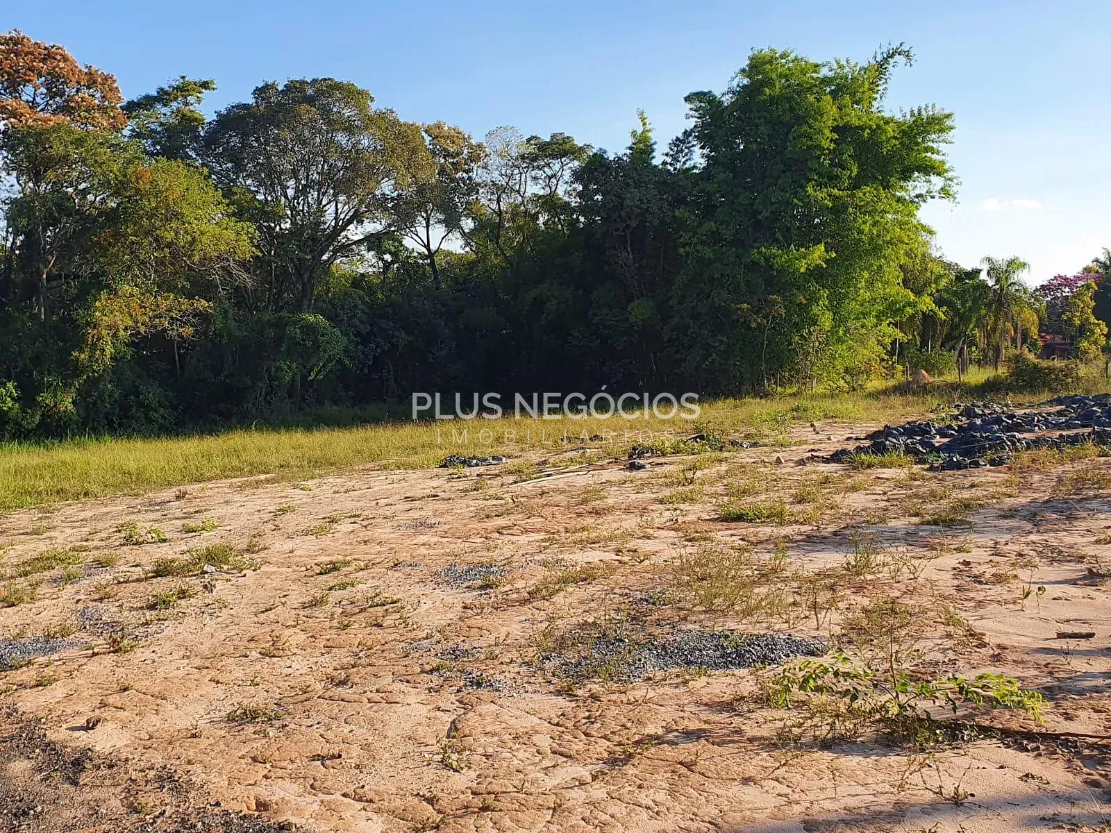 Terreno, 7800 m² - Foto 15