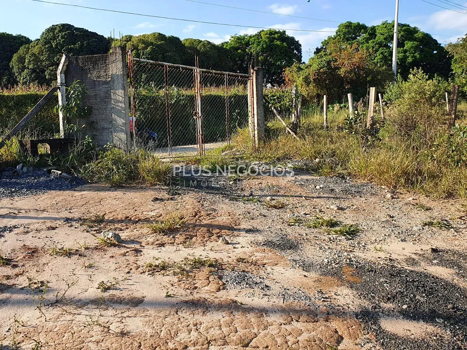 Terreno, 7800 m² - Foto 7