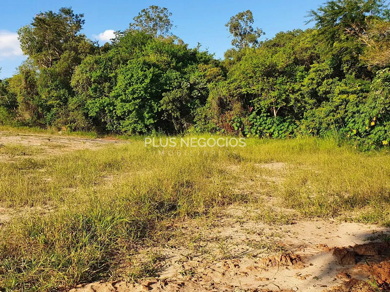 Terreno, 7800 m² - Foto 16