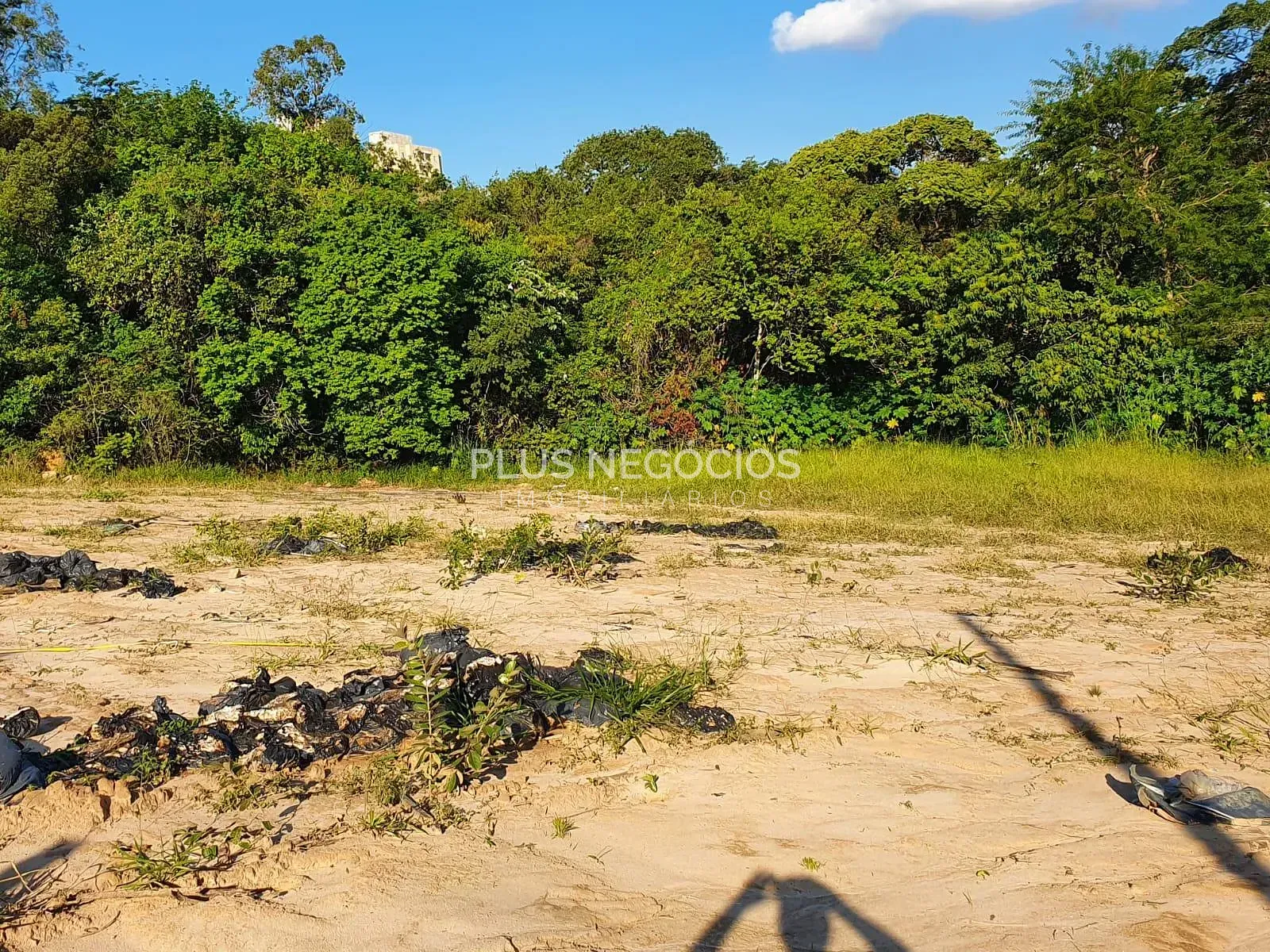 Terreno, 7800 m² - Foto 18
