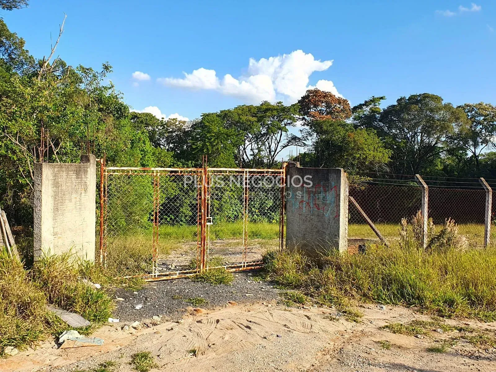 Terreno, 7800 m² - Foto 12