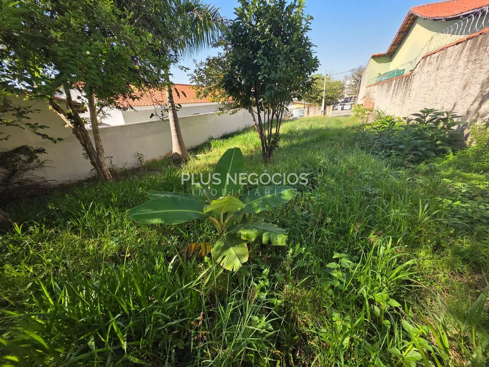 Terreno, 350 m² - Foto 7