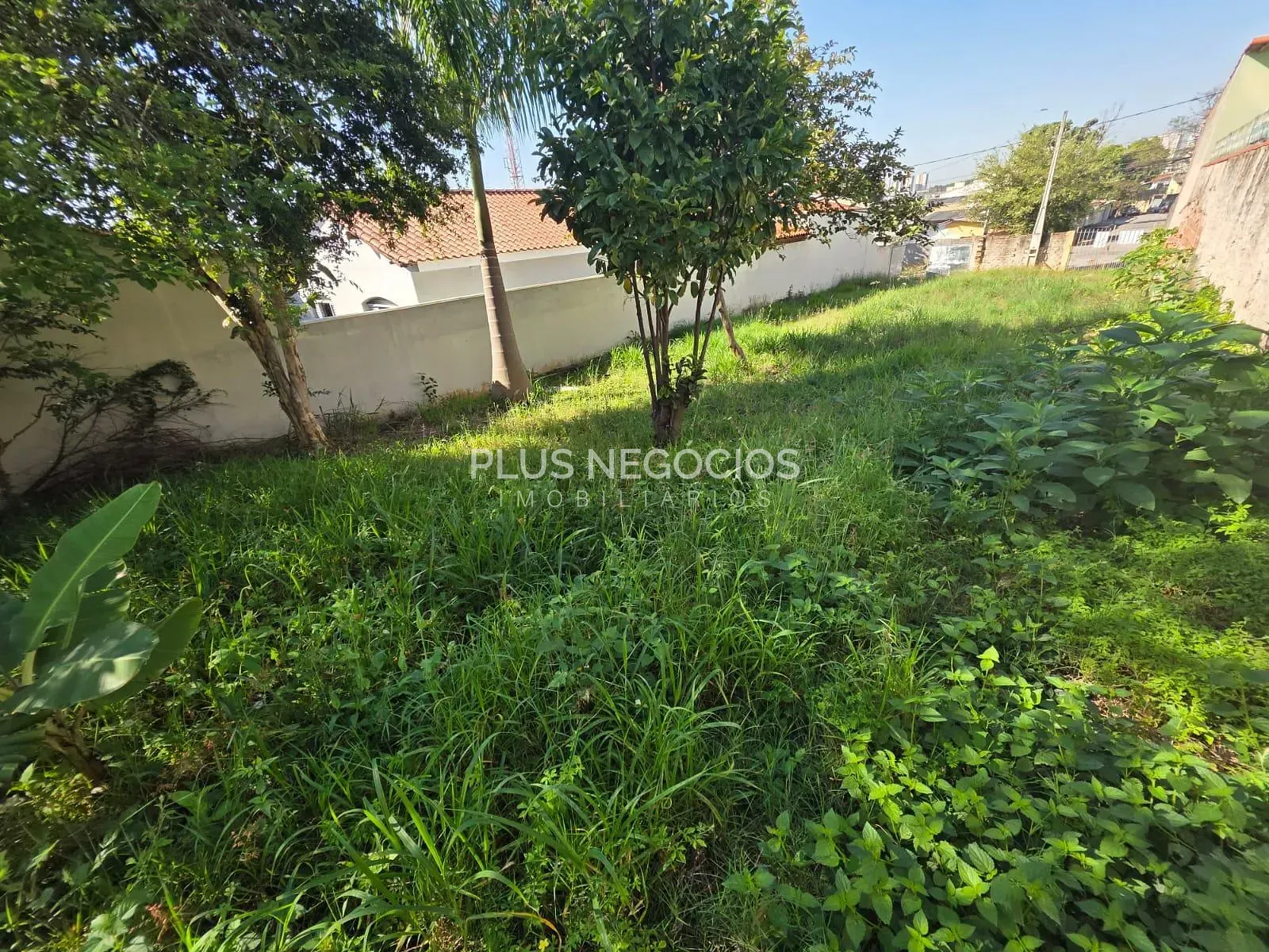 Terreno, 350 m² - Foto 8