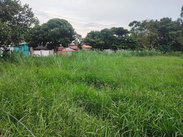 Terreno com 300m², à venda, no bairro Alto do Cardoso em Pindamonhangaba