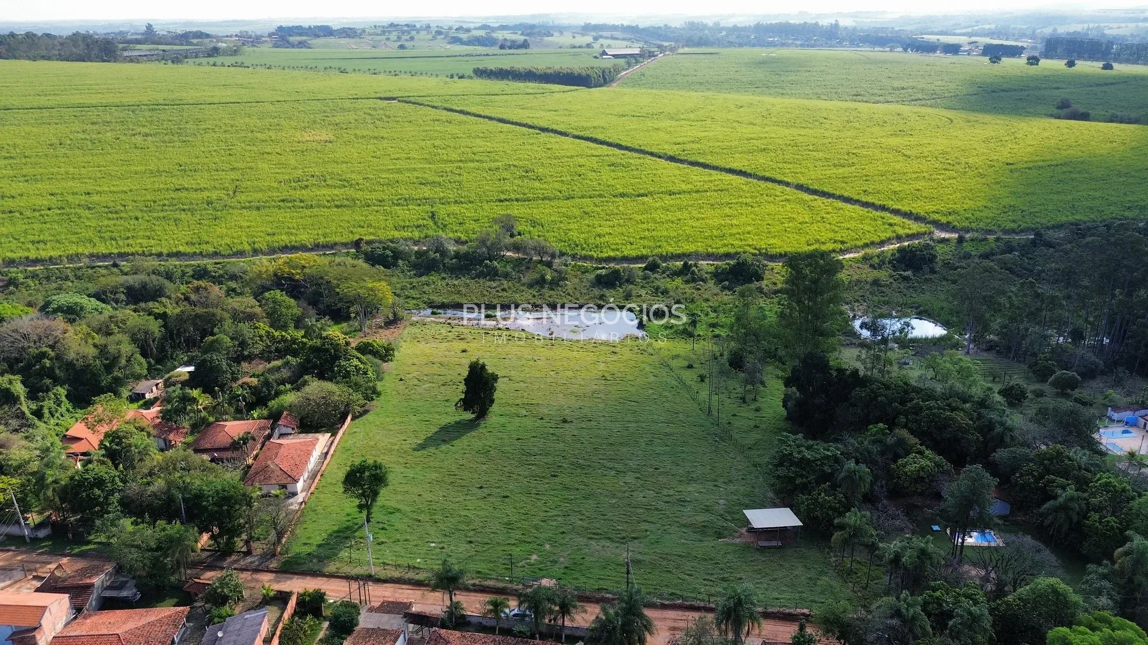 Terreno, 2 hectares - Foto 7