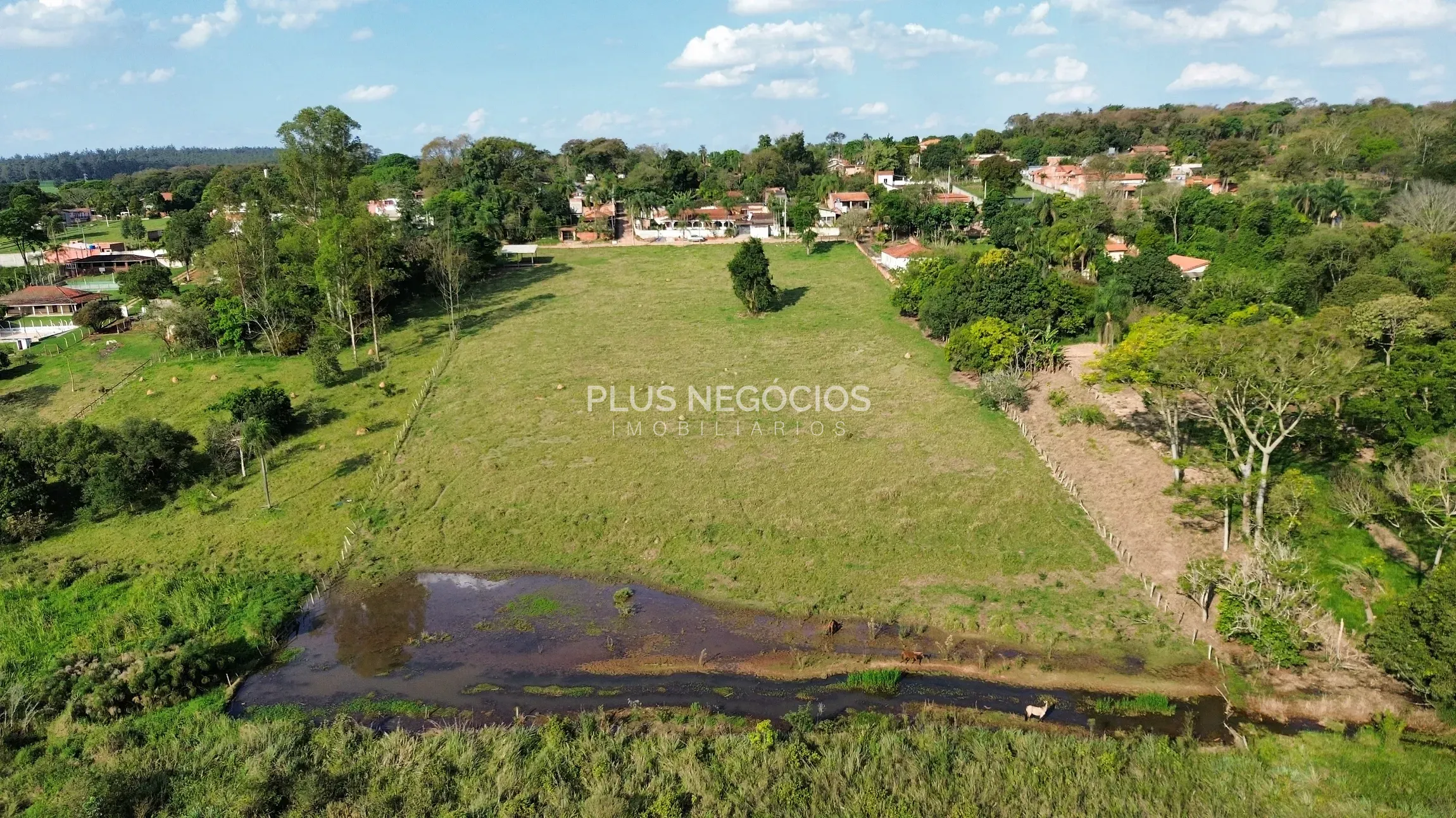 Terreno, 2 hectares - Foto 6
