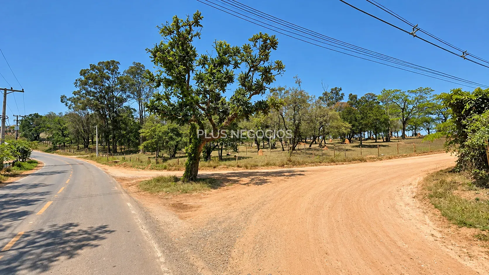 Terreno, 12 hectares - Foto 8