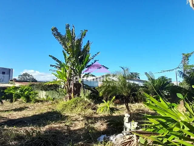 Terreno com 519m², à venda, no bairro Pontal de Santa Marina em Caraguatatuba